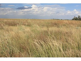 Property photo 3 - LAND AUCTION, 3255+/- Acres offered in 13 Tracts
